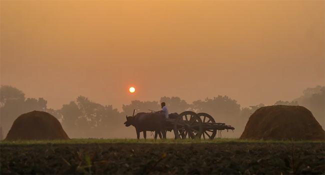 কালের কবলে শীত ও আগামী প্রজন্মের ছাড়পত্র