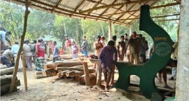 ঘাটাইলে বন রক্ষার্থে অবৈধ করাতকল উচ্ছেদ চলছে
