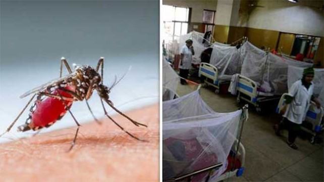 ডেঙ্গুতে একদিনে আরো ৫৮ রোগী হাসপাতালে