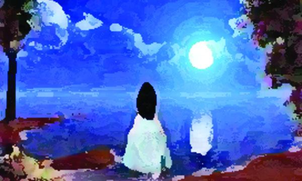 জোছনার সাথে আড়ম্বর উদযাপন করি সে রাত