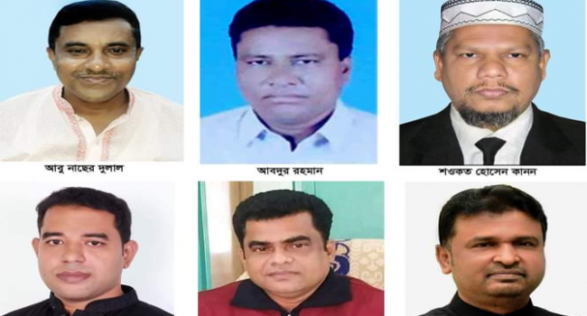 সেনবাগে নৌকার ভরাডুবি, স্বতন্ত্র প্রার্থীদের জয়জয়কার