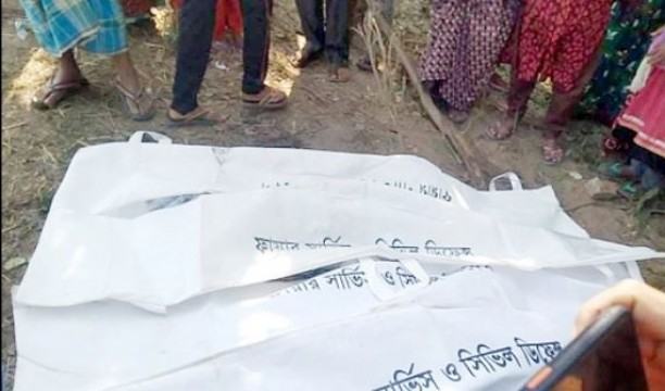 বাসচাপায় বাবা-ছেলে নিহত