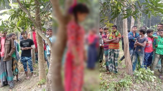 শৈলকুপায় আমগাছে ঝুলন্ত স্কুলছাত্রীর লাশ, পরিবারের দাবি হত্যা