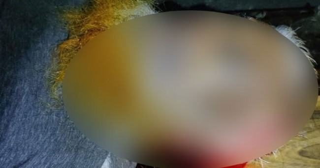সরাইলে ছেলের হাতে বাবা খুন, মা গুরুতর আহত