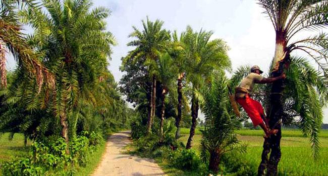 ঐতিহ্য ধরে রাখতে ব্যস্ত সময় কাটাচ্ছেন গাছিরা