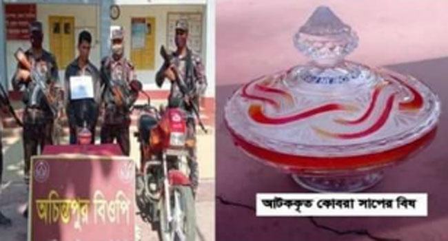 দেড় কোটি টাকার সাপের বিষসহ ১ যুবক আটক