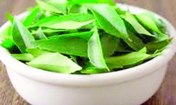 নিম-২