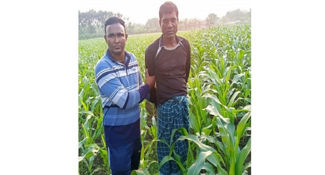 চাষি সেজে ভুট্টা ক্ষেতে সাজাপ্রাপ্ত  আসামি, অবশেষে পুলিশের হাতে গ্রেফতার
