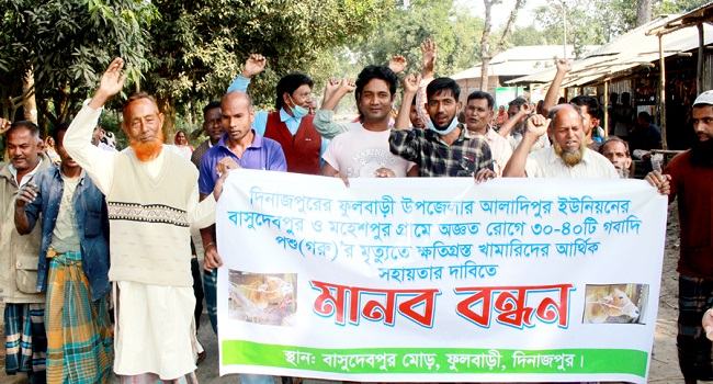 ফুলবাড়ীতে অজ্ঞাত রোগে গরুর মৃত্যুর ঘটনায় ক্ষতিপুরণের দাবীতে বিক্ষোভ