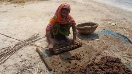গোবরের লাকড়ি তৈরিতে ঝুঁকছেন গ্রামের বধূরা