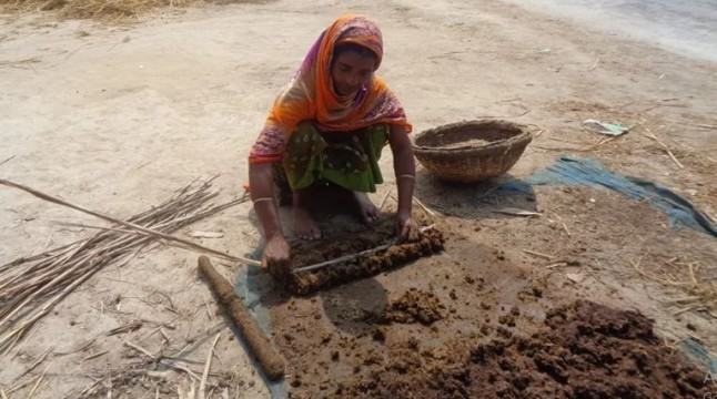 গোবরের লাকড়ি তৈরিতে ঝুঁকছেন গ্রামের বধূরা