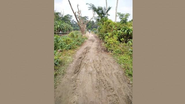 চাটখিলের ইসলামপুর সড়কের বেহাল দশা