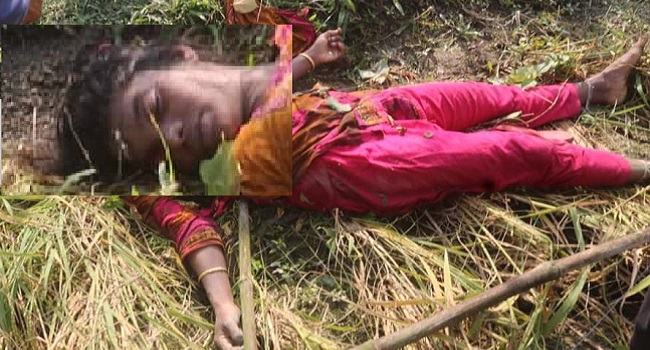 ধান ক্ষেতে সৌদি প্রবাসীর স্ত্রীর লাশ