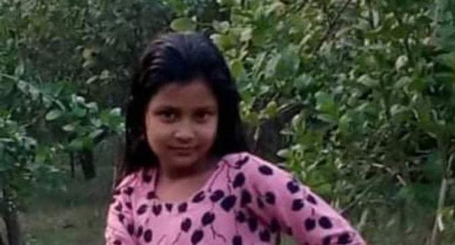 নিখোঁজের পর ডোবায় মিলল শিশুর লাশ