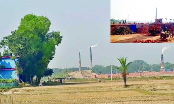 ভালুকায় স্কুলের পাশে ফসলি জমিতে ১২ অবৈধ ইটভাটা