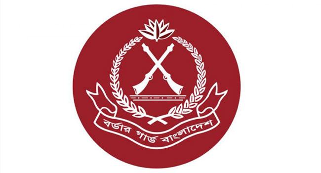 ভোলায় ট্রাকচাপায় বিজিবি সদস্য নিহত, চালক আটক