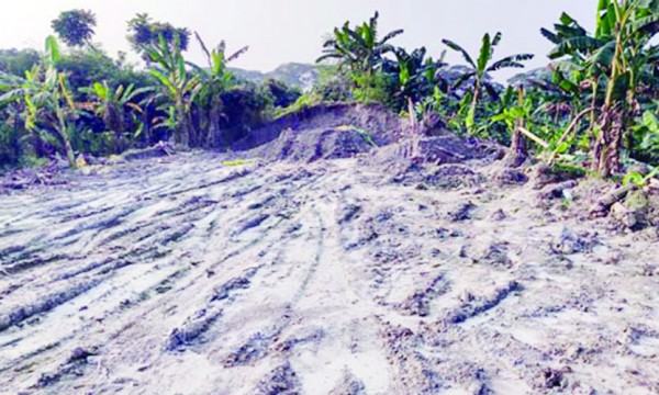 ভৈরবপাড়ের মাটি কেটে ইটভাটায় বিক্রি