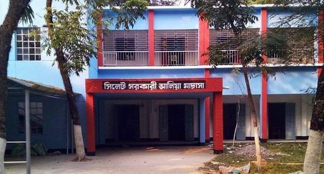 সিলেট আলিয়া মাদরাসা থেকে ৩ শিবিরকর্মী আটক