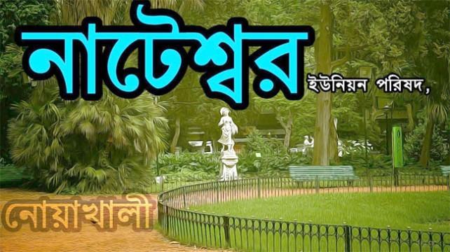 নৌকায় সিল মারতে গিয়ে প্রিজাইডিং অফিসার আটক