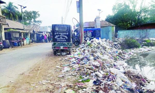 বালিয়াকান্দি উপজেলা পরিষদ লেকের দুর্গন্ধে টেকা দায়
