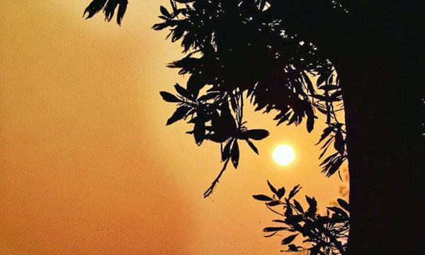প্রত্যাশার সুন্দর দিন