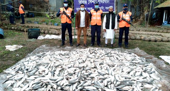 পাথরঘাটায় ২০ মন জাটকা জব্দ, এতিমখানায় বিতরণ