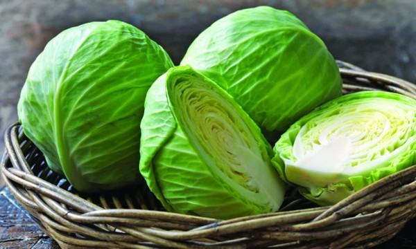 বাঁধাকপি - ১