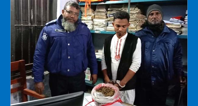 রাঙ্গাবালীতে এক মাদক ব্যবসায়ী গ্রেফতার