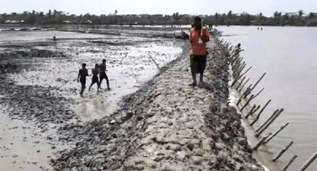 সুন্দরবন উপকূলীয় জীবন-জীবিকায় বিরূপ প্রভাব