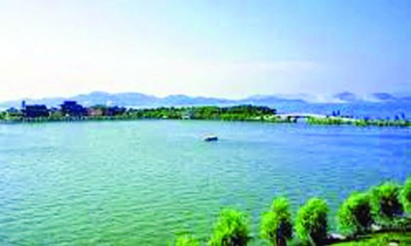 পোয়াং  হ্রদের ডাক