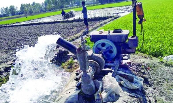 ডিজেলের মূল্য বৃদ্ধিতে বিপাকে প্রান্তিক কৃষক
