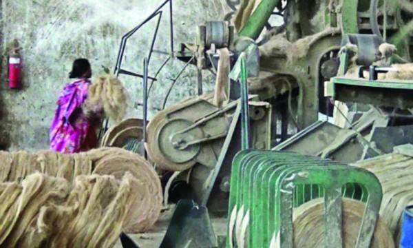 রাজবাড়ীতে আদালতের ক্রোকাদেশ সত্ত্বেও পাটকল সচল রেখেছে তৃতীয় পক্ষ