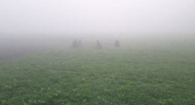 আবারো দেশের সর্বনিম্ন তাপমাত্রা পঞ্চগড়ে