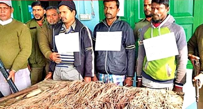 পাইকগাছায় হরিণ ধরার ফাঁদসহ ৩ শিকারী আটক