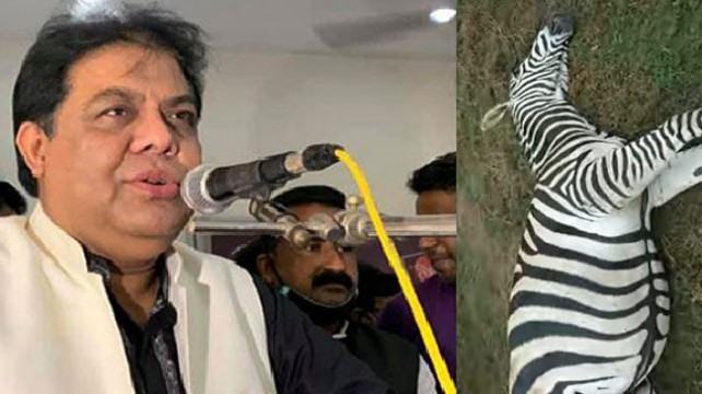 ‘বঙ্গবন্ধু সাফারি পার্কের জেব্রাগুলো মরেনি, মেরে ফেলা হয়েছে’
