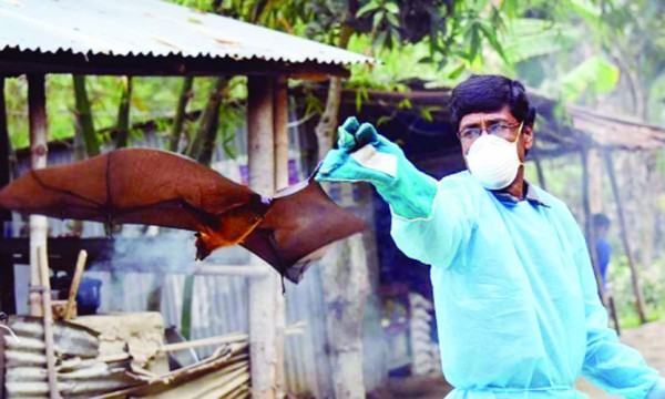 আবার নিপাহ ভাইরাস সতর্ক হন