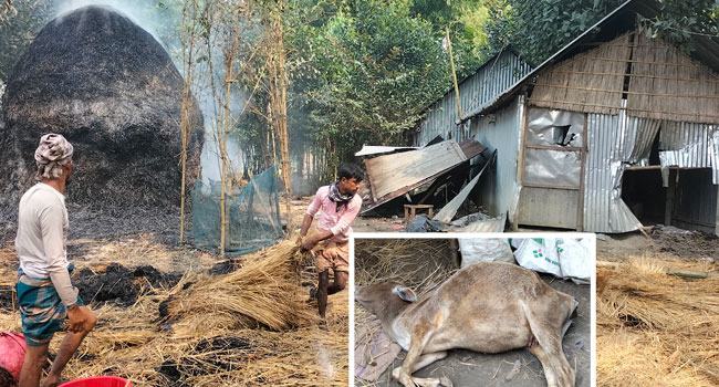 নির্বাচন-পরবর্তী সহিংসতা : ঈশ্বরগঞ্জে ২০ বাড়িতে ভাংচুর-অগ্নিসংযোগ-লুটপাট
