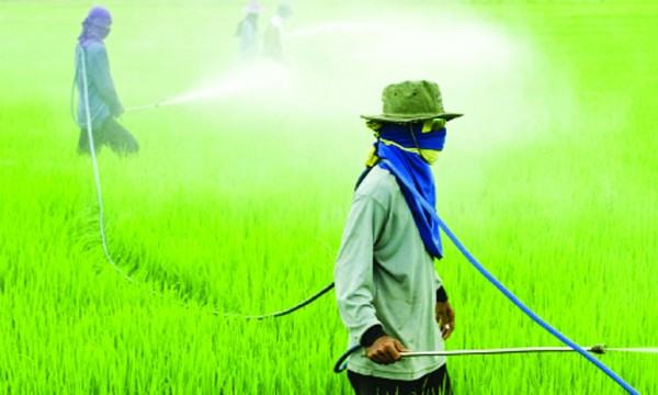 কীটনাশক ব্যবহারে স্বাস্থ্যঝুঁকি