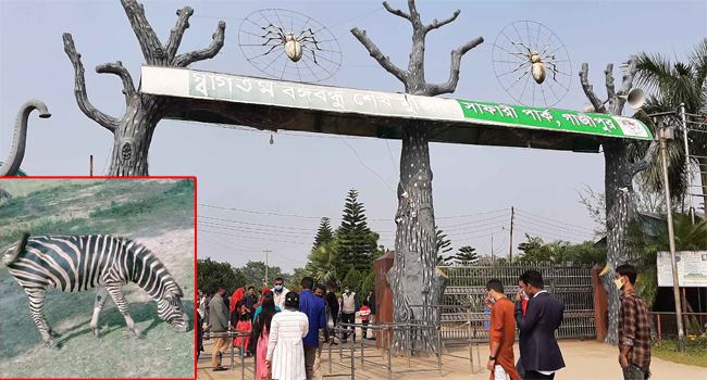 সাফারি পার্কে প্রাণীর মৃত্যু : সরানো হলো আরেক কর্মকর্তাকে