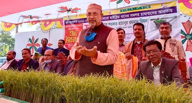 বেতাগীতে রাইস ট্রান্সপ্লান্টারের মাধ্যমে চারা রোপণ উদ্বোধন