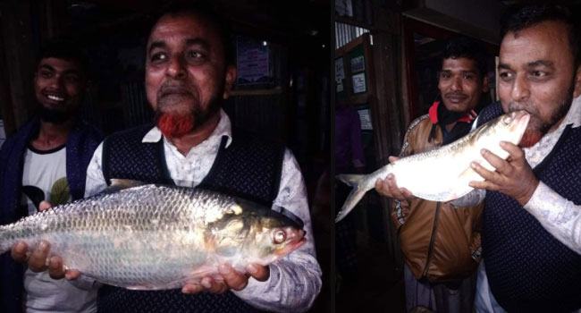 ভোলায় এক ইলিশের দাম ৪ হাজার ৫০০ টাকা