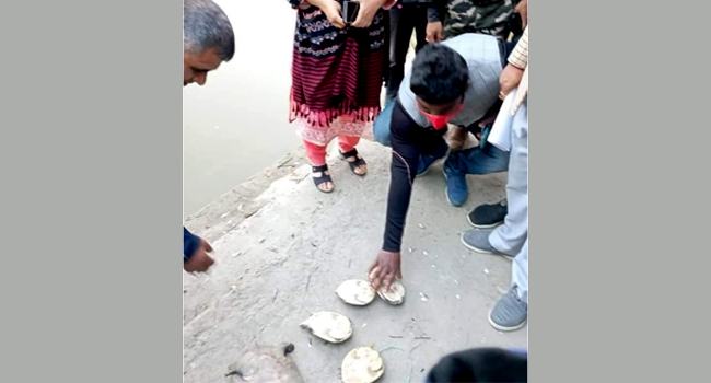পাইকগাছায় কাছিম ব্যবসায়ী আটক, ৮ হাজার টাকা অর্থদণ্ড