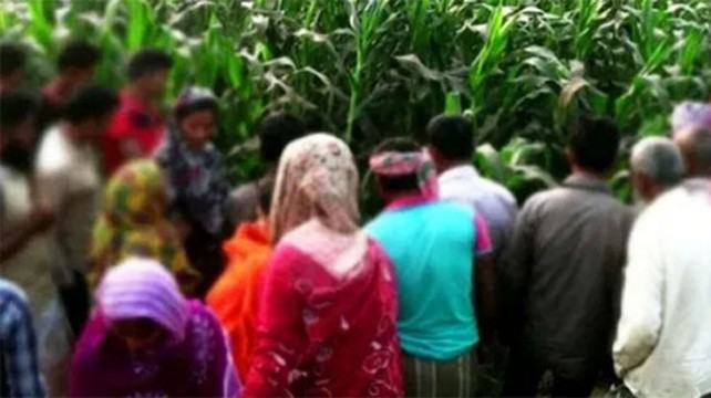 ভুট্টাক্ষেতে মিলল ২ লাশ