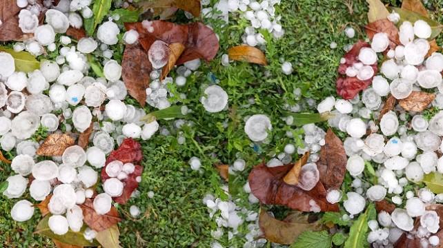 ঠাকুরগাঁওয়ে হঠাৎ শিলাবৃষ্টি, ক্ষয়ক্ষতির শঙ্কা