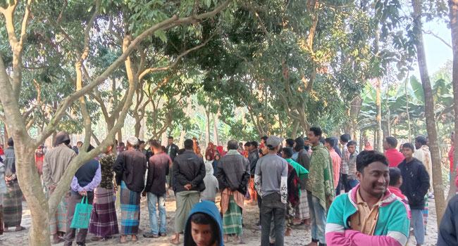 শৈলকুপায় গাছ থেকে গৃহবধূর ঝুলন্ত লাশ উদ্ধার