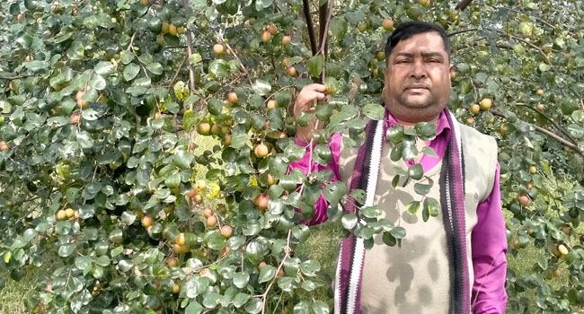 কাশ্মীরি আপেল কুলে আকরামের ভাগ্য বদল