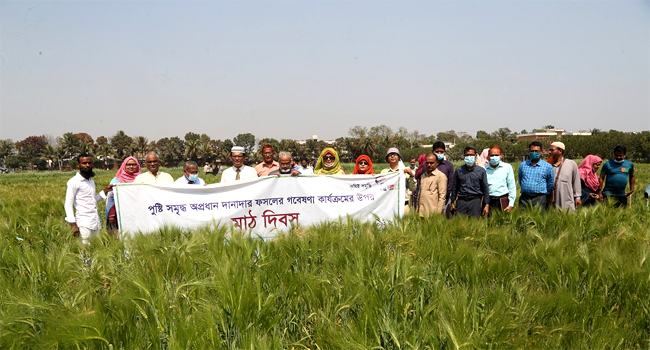 উচ্চ পুষ্টিসমৃদ্ধ ১৪টি ফসল নিয়ে গবেষণা করছে বারি