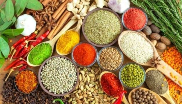 মসলা চাষাবাদে ২৭ কর্তার বিদেশ ভ্রমণ
