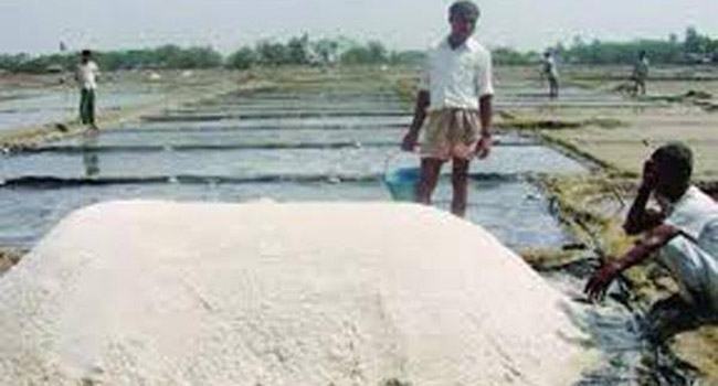 চকরিয়া-পেকুয়ায় লবণের হঠাৎ বড় দরপতন