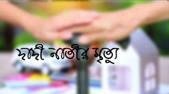 বিদুৎপৃষ্ট নাতীকে বাঁচাতে গিয়ে প্রাণ গেল দাদীরও